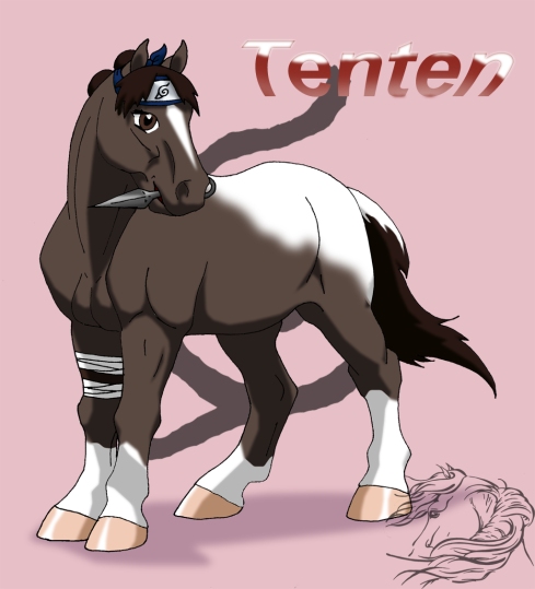Tenten1_pony_by_WSTopDeck